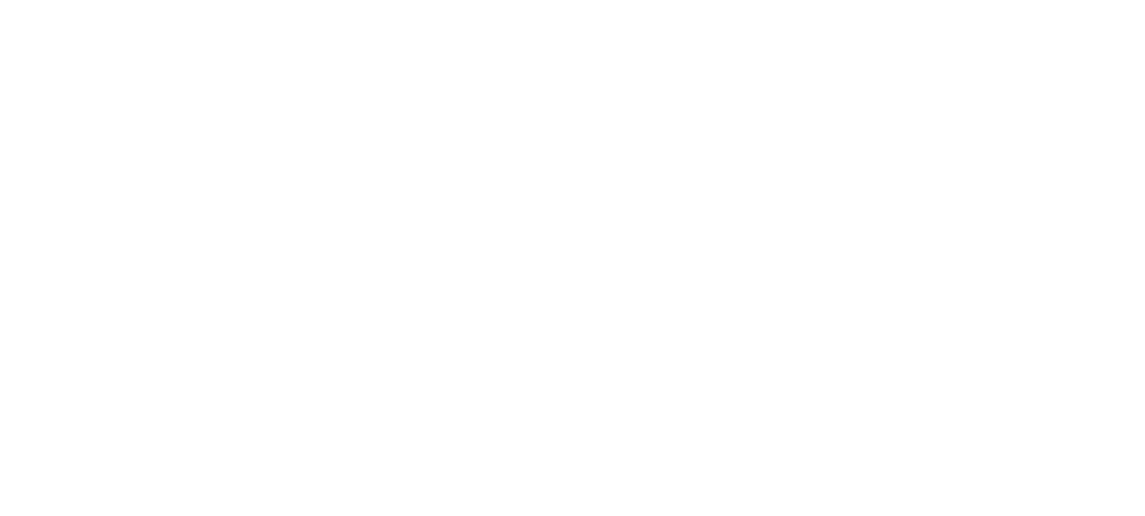 DynamicCorp.com