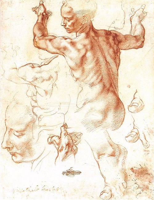 Michelangelo's Study of the Libyan Sibyl circa 1511 AD