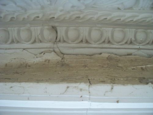 Plaster Damage UVA Garrett Hall