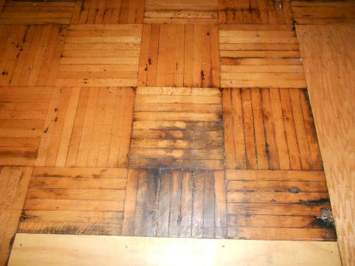 Wood Damage Cosmos Club