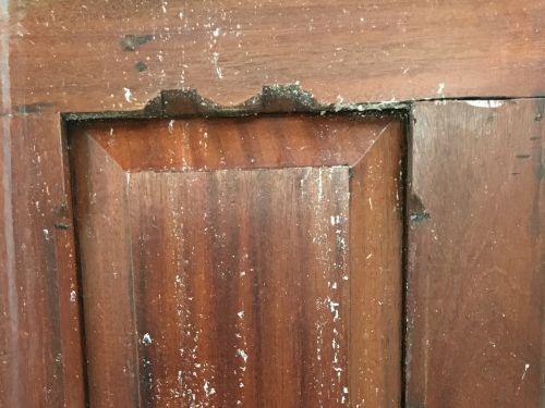 Wood Damage at Mark Twain House