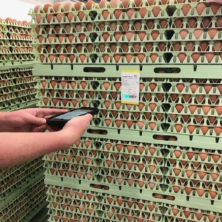 On Farm Sanning - Chippindale Foods