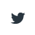 Twitter Icon